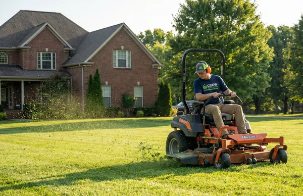 Lawn Mowing & Maintenance