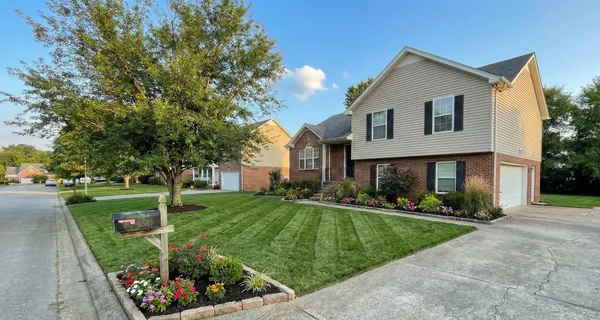 Complete Lawn Restoration — After