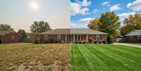 Why Your Murfreesboro Lawn Turns Brown Every Summer
